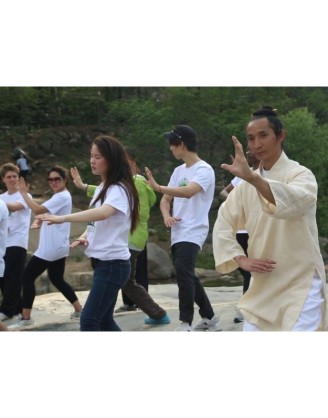 1 Year Chinese Martial Arts & Kung Fu Training in China